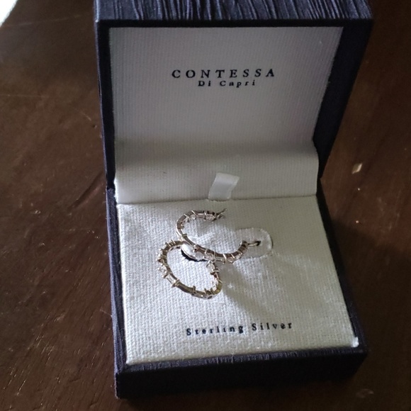 Earrings - Picture 1 of 2